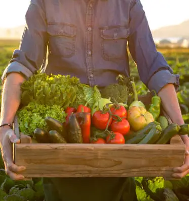 Agriculture, Food and Health